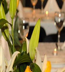 Strattons Hotel - Accommodation Sunshine Coast 2