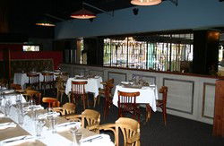 Brown Fox - Accommodation Sunshine Coast 2