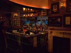 Iguana Bar - Accommodation Sunshine Coast 3