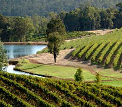 Thomson Brook WA Accommodation Sunshine Coast