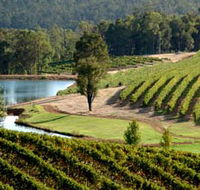 Brookhampton Estate Vineyard - Accommodation Sunshine Coast