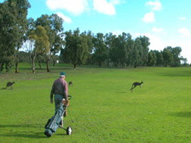 Tiatukia SA Accommodation Sunshine Coast