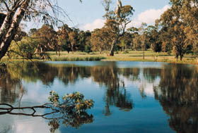 Echunga Golf Club Incorporated - Accommodation Sunshine Coast 1