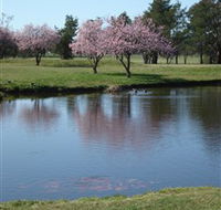 RMC Golf Club - Accommodation Sunshine Coast