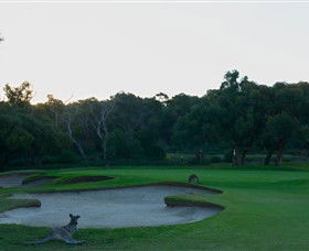 Anglesea Golf Club - Accommodation Sunshine Coast 8