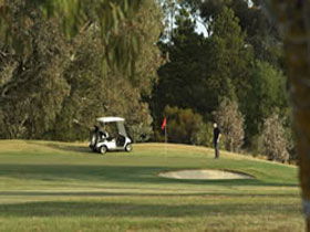 Barossa Valley Golf Club Incorporated - Accommodation Sunshine Coast 0