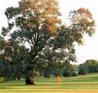 Cowra Golf Club - Accommodation Sunshine Coast