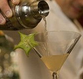 Globe Brasserie and Bar - Accommodation Sunshine Coast