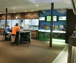 Chester Hill Hotel - Accommodation Sunshine Coast 3