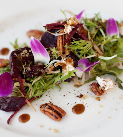 Angel - Accommodation Sunshine Coast 1