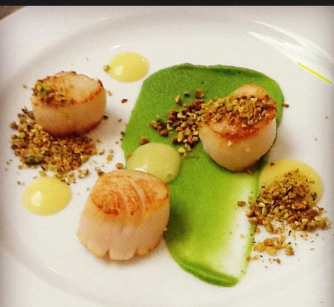 Botanic Gardens Restaurant - Accommodation Sunshine Coast 1