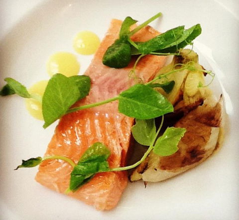 Botanic Gardens Restaurant - Accommodation Sunshine Coast 2