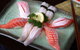 Tatsuya - thumb 0