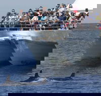 MoonshadowTQC Cruises - Accommodation Sunshine Coast