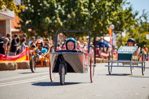 Australian Billy Cart Championships - Accommodation Sunshine Coast 2