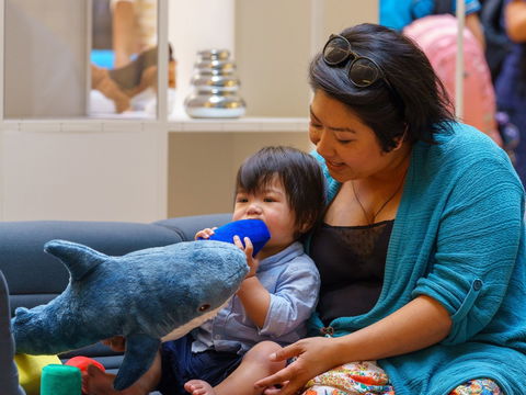 Baby Bounce - Accommodation Sunshine Coast 0