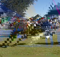 Casino Golf Club Markets - Accommodation Sunshine Coast