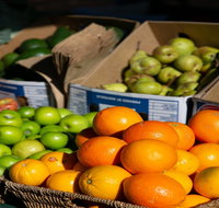 Cleveland  Markets - Accommodation Sunshine Coast