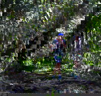 Elephant Trail Race - Accommodation Sunshine Coast