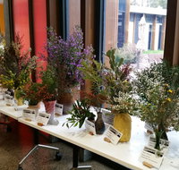 Grampians Wildflower Show - Accommodation Sunshine Coast