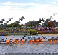 Jacaranda Dragon Boat Races - Accommodation Sunshine Coast