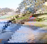 Mountain Man Tri Challenge - Accommodation Sunshine Coast