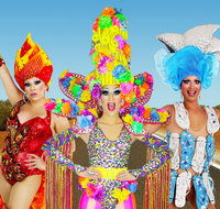 Prada's Priscillas An all-male revue - Accommodation Sunshine Coast