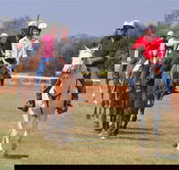 Pride of the West Races 2020 - Accommodation Sunshine Coast