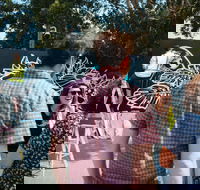 The Big Picture Fest Newcastle - Accommodation Sunshine Coast