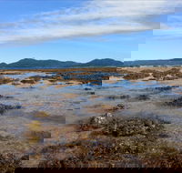 Walk to the Reef - Accommodation Sunshine Coast