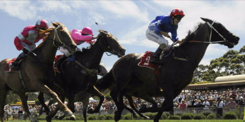 Batemans Bay Cup - Accommodation Sunshine Coast 0