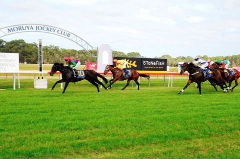 Batemans Bay Cup - Accommodation Sunshine Coast 2