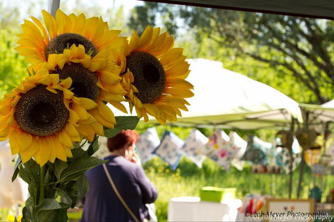 Blackville Arts And Market Day - Accommodation Sunshine Coast 0
