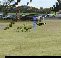 Dean Sheepdog Trials - Old Sniff Classic - Accommodation Sunshine Coast