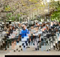 Diabetes Australia Walk to Work Day-Sydney - Accommodation Sunshine Coast