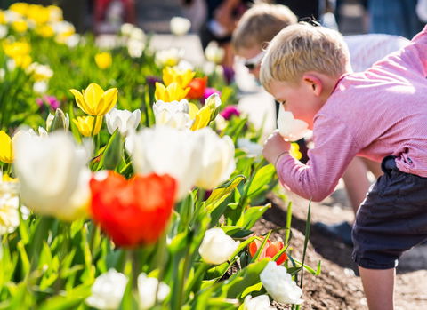 Floriade: Reimagined - Accommodation Sunshine Coast 1