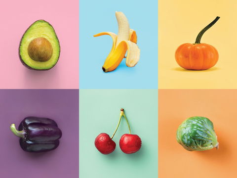 Food For Thought: Alternative Food Sources - Accommodation Sunshine Coast 0