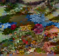 Glenrock Gardens Open Garden - Accommodation Sunshine Coast