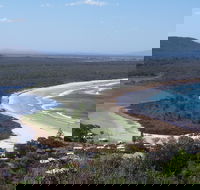 Head to Head Walk Run - Accommodation Sunshine Coast