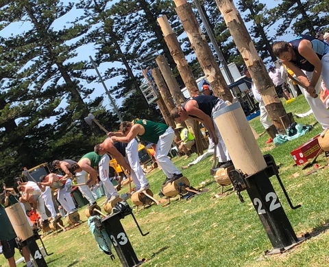 Kiama Show - Accommodation Sunshine Coast 1