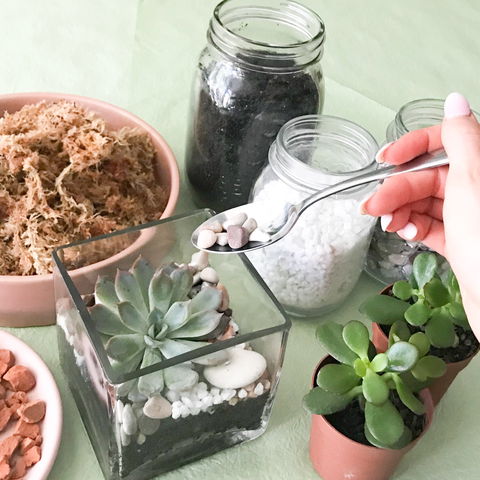 Online Live Streaming Class: Make Your Own Terrarium - Accommodation Sunshine Coast 0
