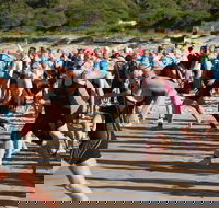 Port Stephens Triathlon Festival - Accommodation Sunshine Coast