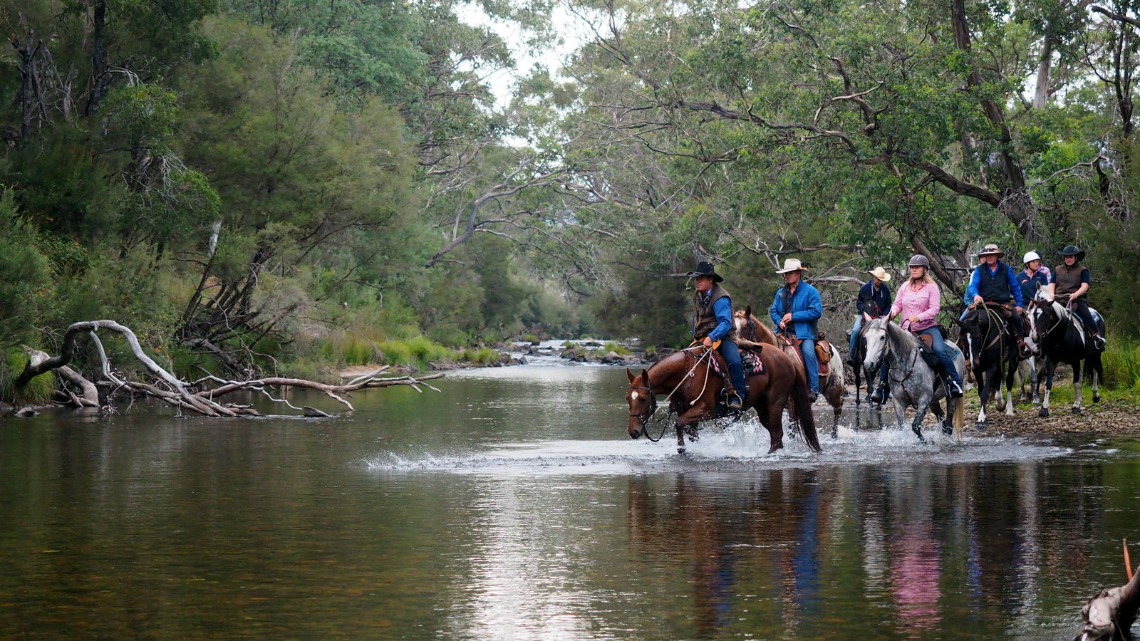 Towong VIC Accommodation Sunshine Coast