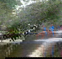 The Man From Snowy River Bush Festival - Accommodation Sunshine Coast