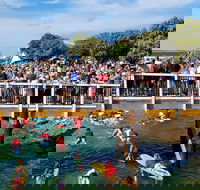 The Crescent Head Santa Surf - Accommodation Sunshine Coast