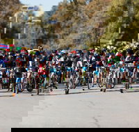 Wagga Lake Run Ride - Accommodation Sunshine Coast