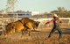 Walgett Charity Bushman's Carnival Rodeo And Campdraft - thumb 0