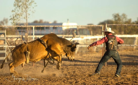 Walgett Charity Bushman's Carnival Rodeo And Campdraft - Accommodation Sunshine Coast 0