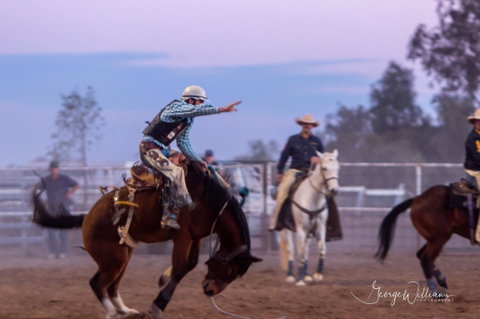 Walgett Charity Bushman's Carnival Rodeo And Campdraft - Accommodation Sunshine Coast 1