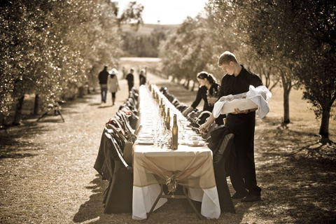 Whispering Brook Olive Long Table Luncheon - Accommodation Sunshine Coast 1